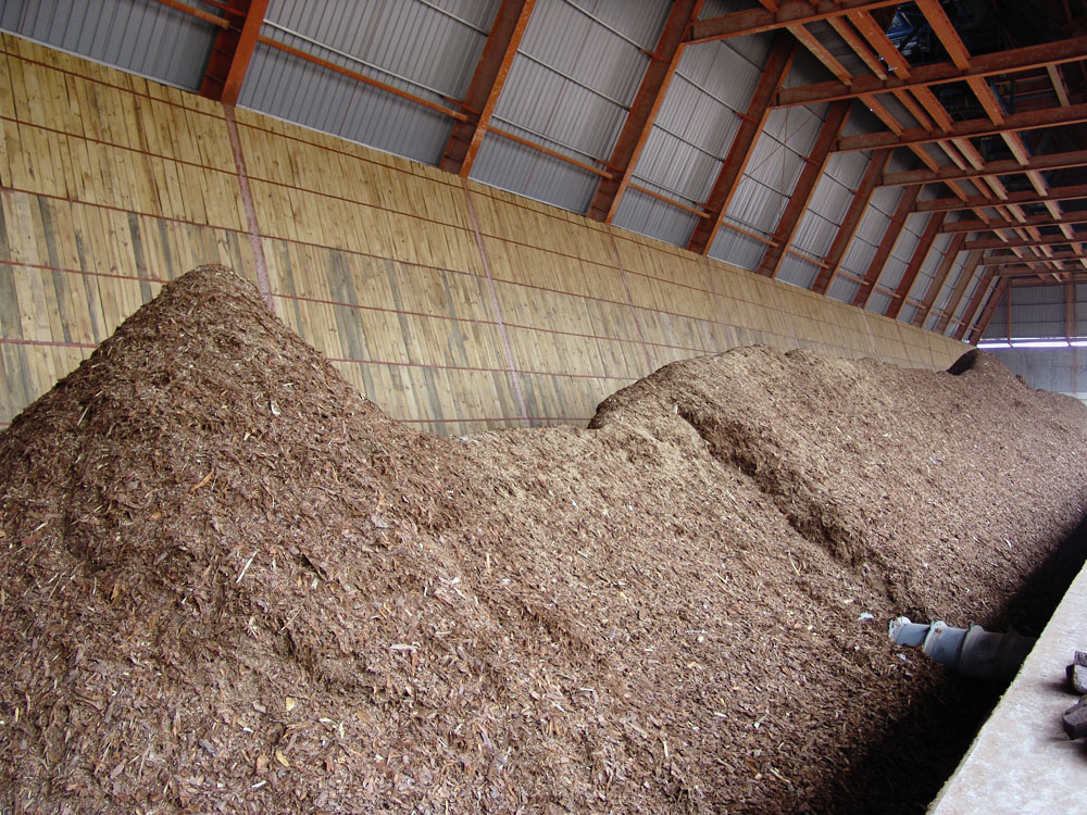 Biomass boilers