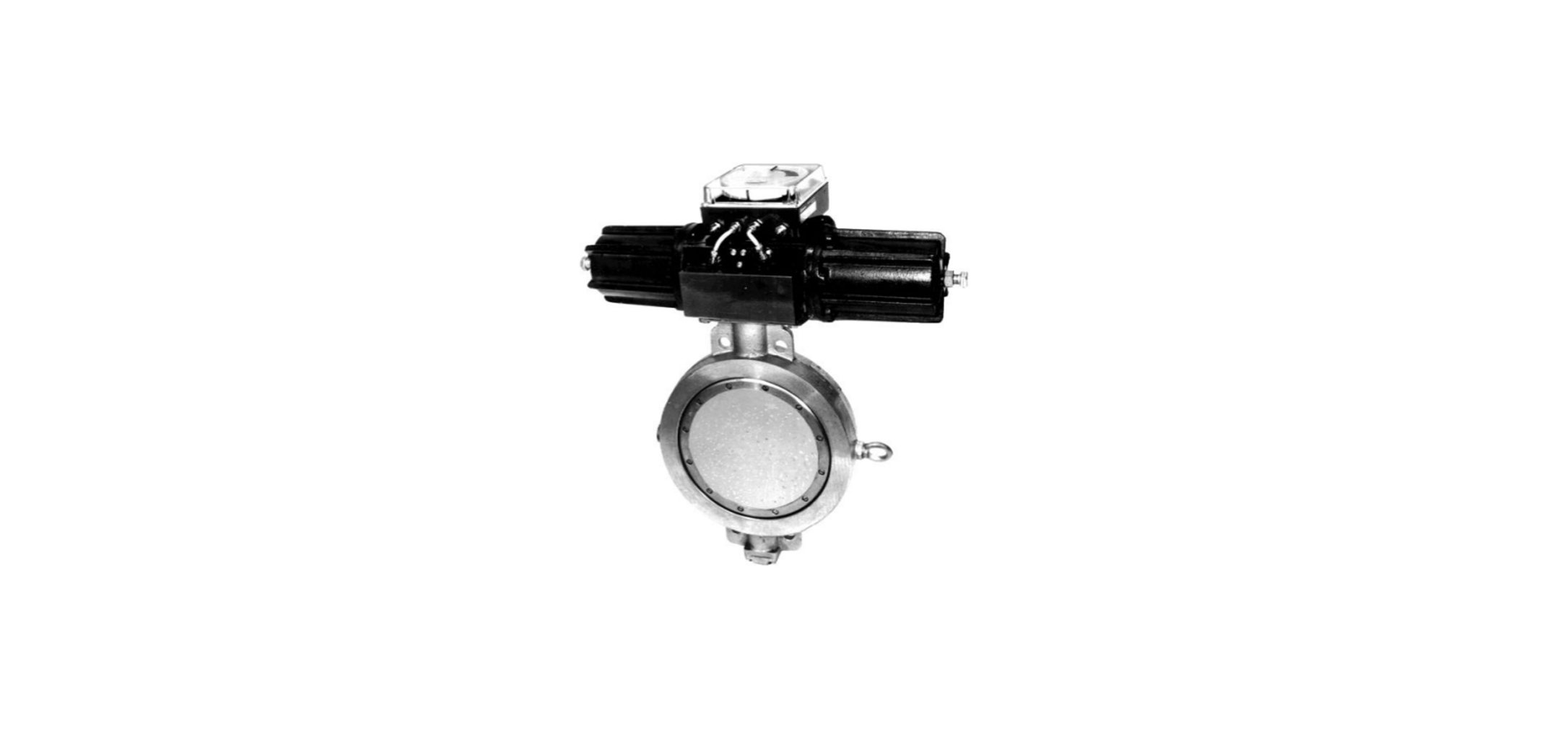 ANDRITZ Ball Valves - NAF Unex